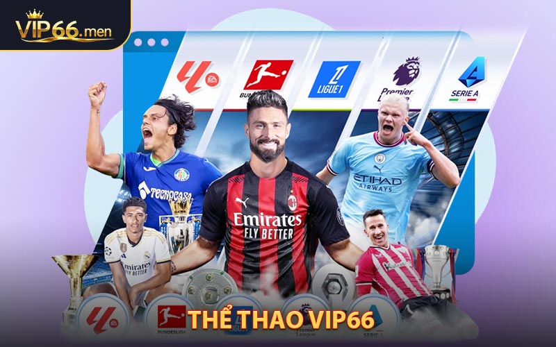 Thể thao VIP66